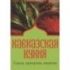 Кавказская кухня. Соусы,приправы,напитки