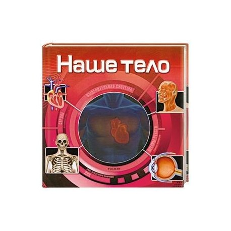 Наше тело