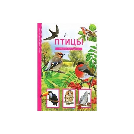 Птицы. Школьный путеводитель