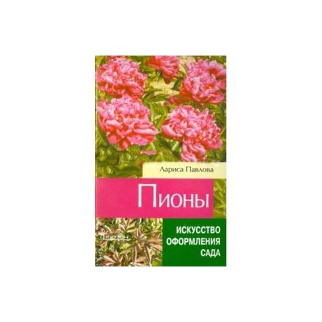 Пионы.